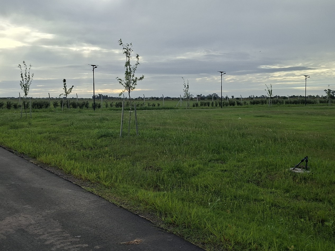 LA FINCA 2 FUNES ULTIMOS LOTES VENTA TERRENO 606 M2